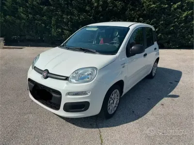 Usata Fiat Panda 2015 Bianco Utilitaria