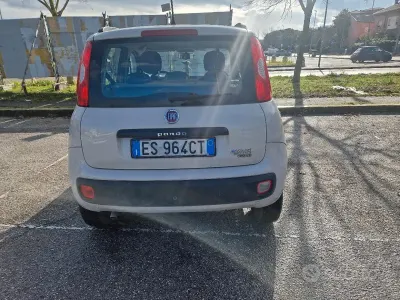 Usata Fiat Panda 70 CV (51 kW) 2013 Giallo Utilitaria