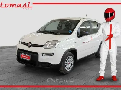Usata Fiat Panda 69 CV (50 kW) 2024 Bianco Utilitaria