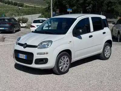 Usata Fiat Panda 70 CV (51 kW) 2019 Bianco Utilitaria