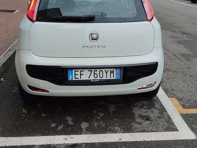 usata Fiat Punto Evo Punto Evo 1.2 5 porte Dynamic