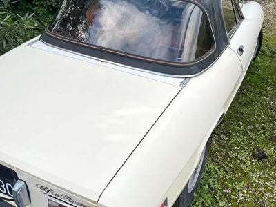 Usata Alfa Romeo Spider 128 CV (94 kW) 1980 Cabrio