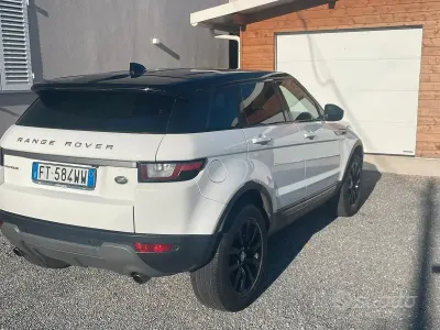Usata Land Rover Range Rover evoque Pure 150 CV (110 kW) 2019 Bianco SUV