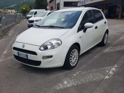 Usata Fiat Punto Pop 84 CV (61 kW) 2012 Bianco Utilitaria