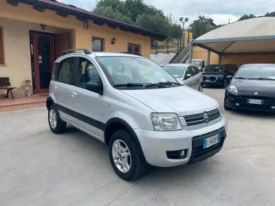Usata Fiat Panda 4x4 69 CV (50 kW) 2007 Grigio Utilitaria
