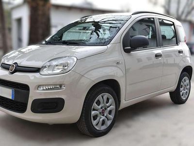 Usata Fiat Panda Easy 80 CV (58 kW) 2014 Caffelatte Utilitaria