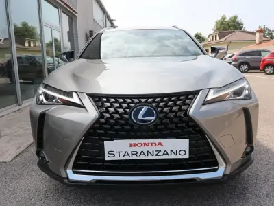 Usata Lexus UX 152 CV (111 kW) 2020 Grigio SUV