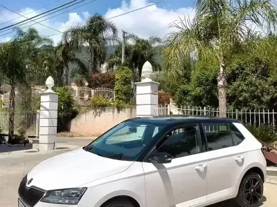 Usata Skoda Fabia