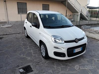 Usata Fiat Panda Easy 69 CV (50 kW) 2020 Bianco Utilitaria