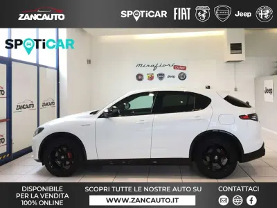 Usata Alfa Romeo Stelvio Veloce 210 CV (154 kW) 2024 Bianco SUV