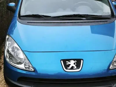 Usata Peugeot 1007