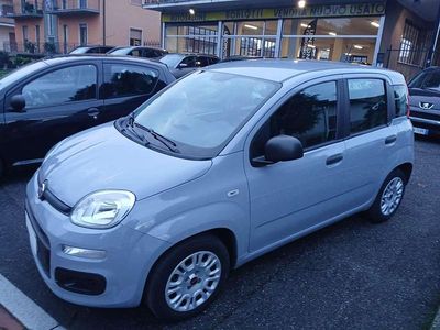 Usata Fiat Panda Connect 69 CV (50 kW) 2021 Grigio Utilitaria