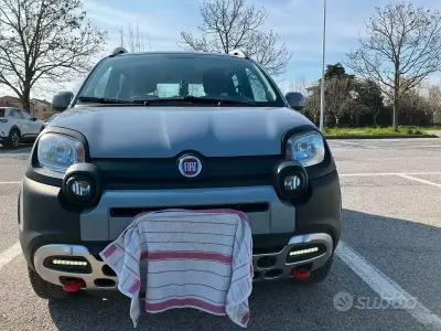 Usata Fiat Panda Cross Cross 85 CV (62 kW) 2020 Grigio Utilitaria