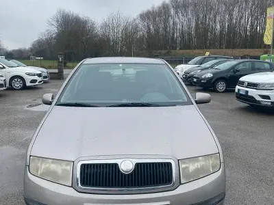 Usata Skoda Fabia