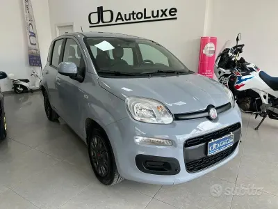 Usata Fiat Panda Lounge 69 CV (50 kW) 2020 Grigio Utilitaria
