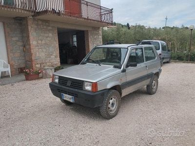 Usata Fiat Panda 4x4 Trekking 54 CV (39 kW) 2002 Grigio Utilitaria