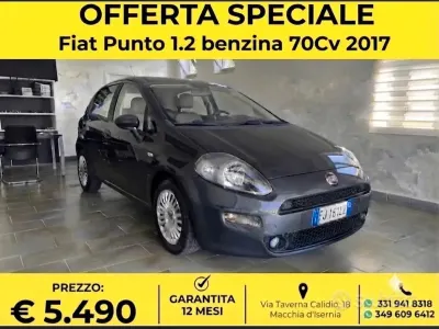 Usata Fiat Punto Lounge 69 CV (50 kW) 2017 Grigio Utilitaria