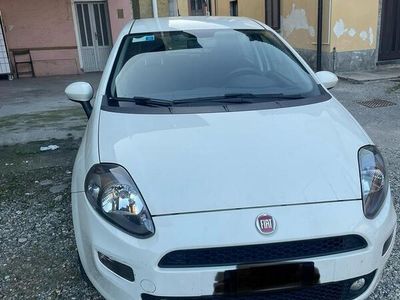 usata Fiat Punto Punto 1.2 8V 5 porte Lounge