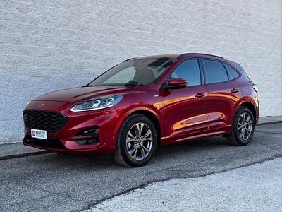 Usata Ford Kuga ST-Line X 152 CV (111 kW) 2022 Rosso SUV