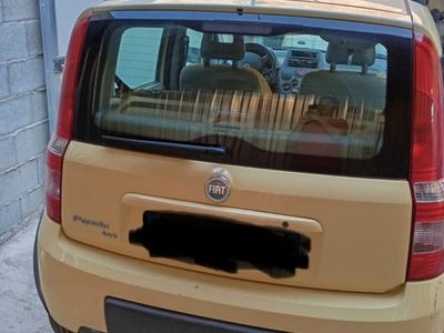 Usata Fiat Panda 60 CV (44 kW) 2006 Giallo Utilitaria