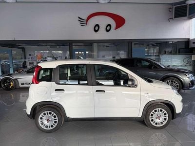 Usata Fiat Panda 69 CV (50 kW) 2024 Bianco Utilitaria