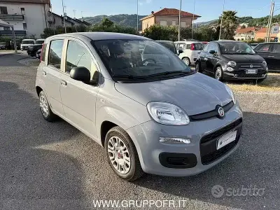 Occasion Fiat Panda 69 ch (50 kW) 2021 Gris Citadine
