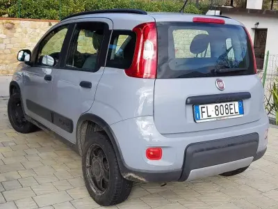 Usata Fiat Panda 4x4 S 95 CV (69 kW) 2017 Grigio Utilitaria