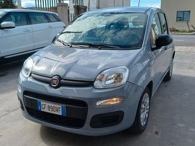 usata Fiat Panda 3ª serie - 2021