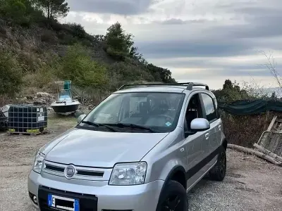 Usata Fiat Panda 4x4 69 CV (50 kW) 2011 Grigio Utilitaria