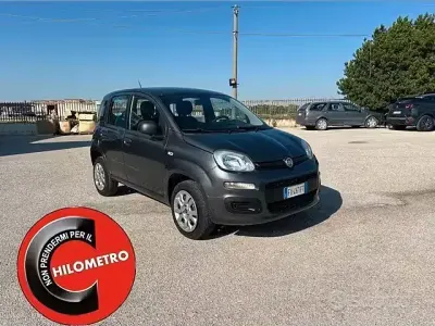 Usata Fiat Panda Easy 70 CV (51 kW) 2019 Grigio Utilitaria