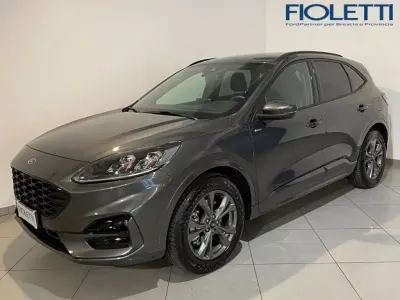Usata Ford Kuga ST-Line 225 CV (165 kW) 2024 Grigio SUV