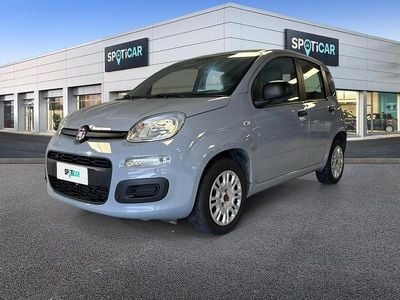 Usata Fiat Panda Easy 69 CV (50 kW) 2020 Grigio Utilitaria