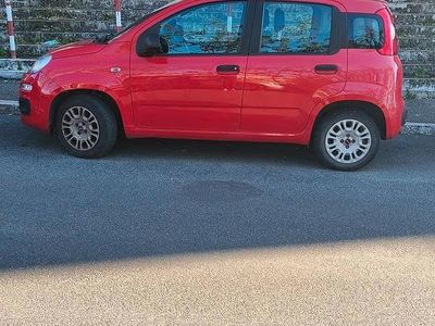 Usata Fiat Panda Easy 69 CV (50 kW) 2019 Rosso Utilitaria