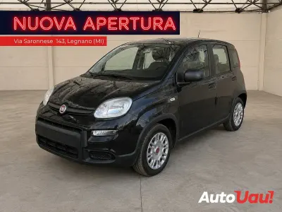 Usata Fiat Panda