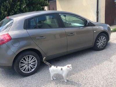 Usata Fiat Bravo Active 120 CV (88 kW) 2008 Utilitaria