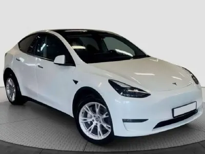 Usata Tesla Model Y