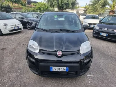 Usata Fiat Panda 69 CV (50 kW) 2024 Nero Utilitaria