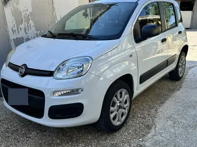 Usata Fiat Panda Easy 85 CV (62 kW) 2015 Bianco Utilitaria
