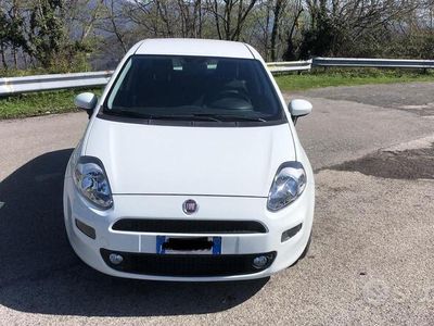 usata Fiat Punto Punto 1.3 Multijet 16V 5 porte Active