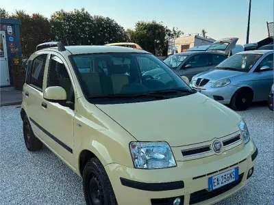 Usata Fiat Panda Dynamic 60 CV (44 kW) 2010 Giallo Utilitaria