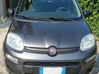Usata Fiat Panda Easy 69 CV (50 kW) 2018 Grigio Utilitaria
