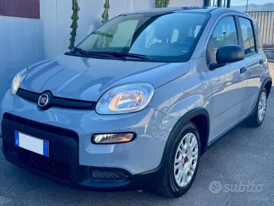 Usata Fiat Panda S 69 CV (50 kW) 2023 Grigio Utilitaria
