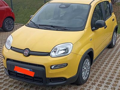 Usata Fiat Panda 70 CV (51 kW) 2024 Utilitaria