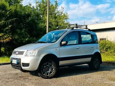 Usata Fiat Panda 4x4 60 CV (44 kW) 2008 Grigio Utilitaria