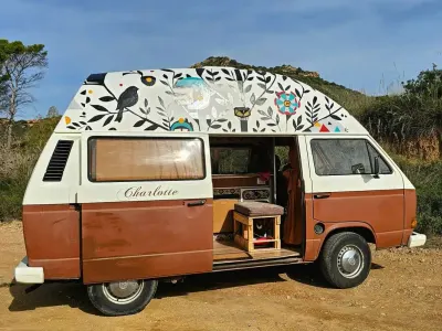Usata VW T3 50 CV (36 kW) 1992 Marrone Furgone