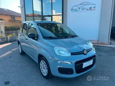 Usata Fiat Panda Easy 69 CV (50 kW) 2017 Grigio Utilitaria