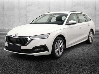 Usata Skoda Octavia Style 204 CV (150 kW) 2023 Bianco metallizzato Station wagon