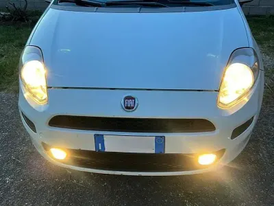 Usata Fiat Punto 75 CV (55 kW) 2014 Bianco Utilitaria