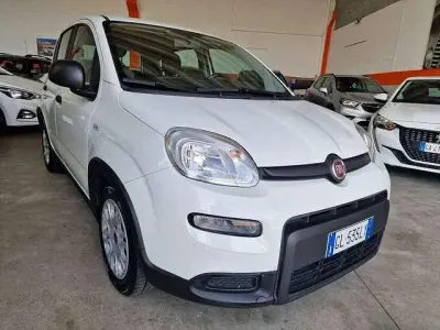 Occasion Fiat Panda Cross