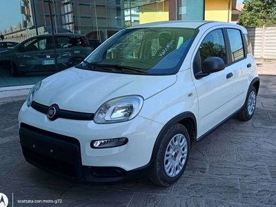 usata Fiat Panda 1.0 Hybrid 70 CV